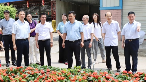 自治區政協(xié)常委、梧州市政協(xié)主席黃振饒蒞臨百裕集團走訪(fǎng)調研